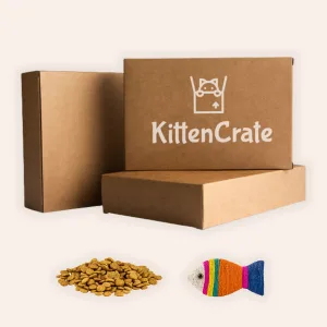 1-2 years subscription boxes
