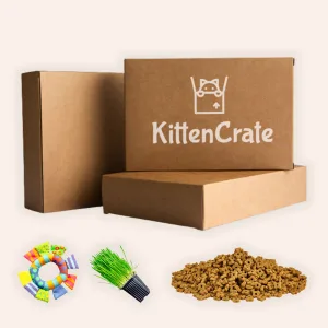 0 - 1 year subscription boxes