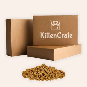 Food Subscription