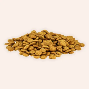 Cat Food