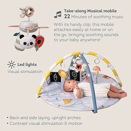 Музикална активна гимнастика, Taf Toys, С LED светлини - Image 3