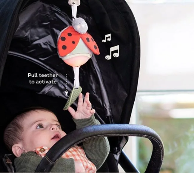 Детска музикална играчка, Taf Toys, Калинка - Image 4