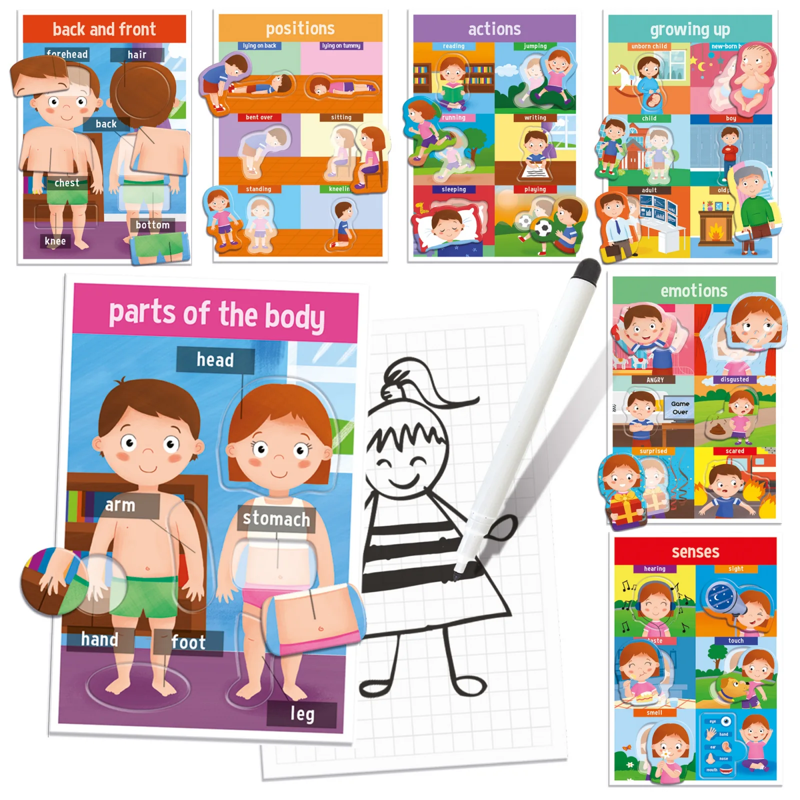 Образователна игра, Headu, Да научим частите на тялото, Монтесори - Image 4