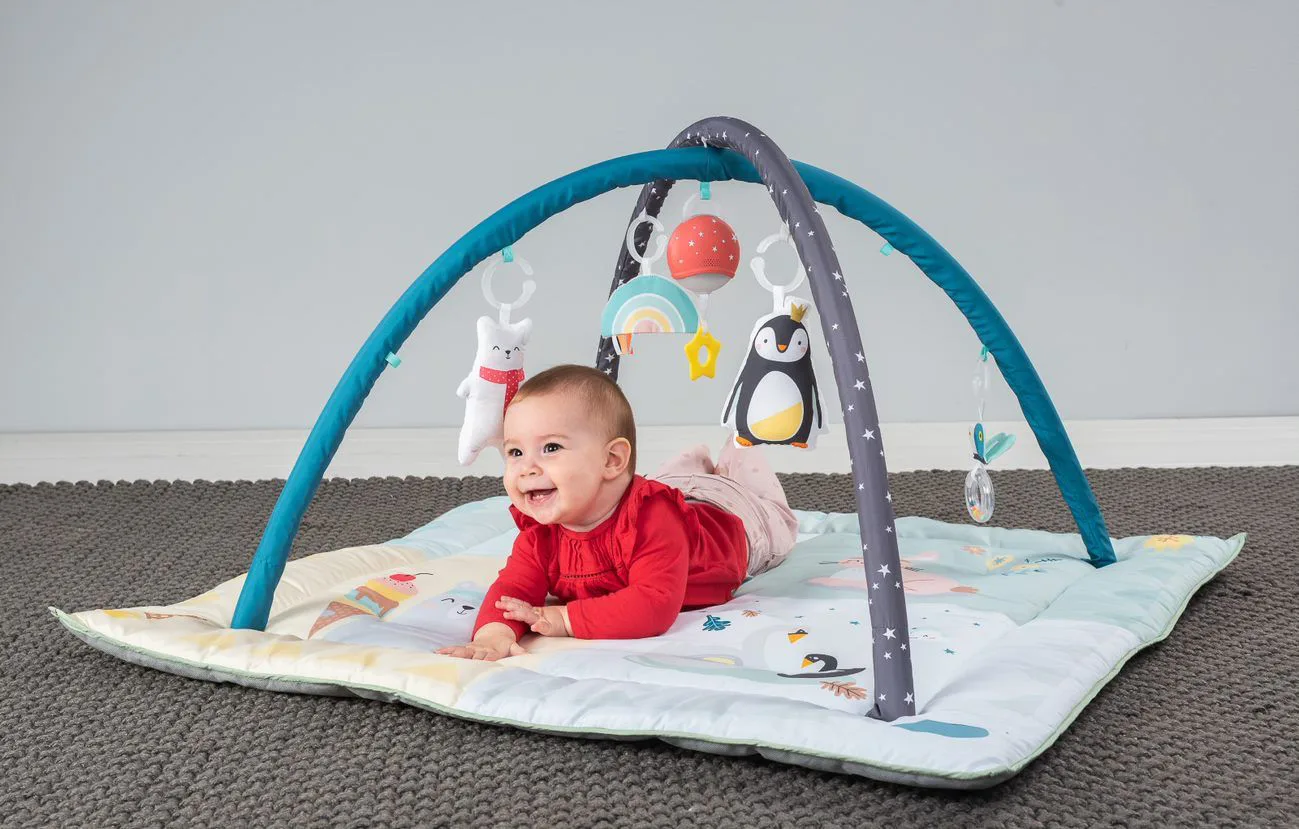 Активна гимнастика, Taf Toys, Северен полюс, 96 х 96 cm - Image 5