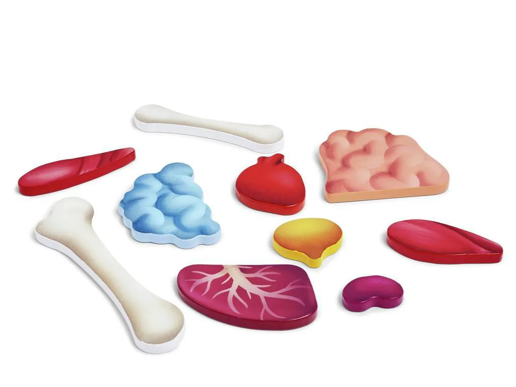 Дървен пъзел, Hape, Човешко тяло, 60 части - Image 6