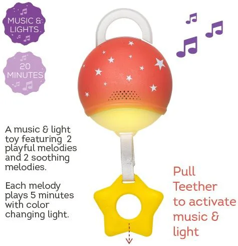 Активна гимнастика, Taf Toys, Северен полюс, 96 х 96 cm - Image 4