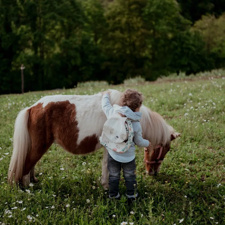 Малка детска раница, Sassi, Ленивец, 27.3 х 22 см - Image 10