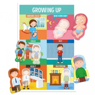 Образователна игра, Headu, Да научим частите на тялото, Монтесори - Image 2