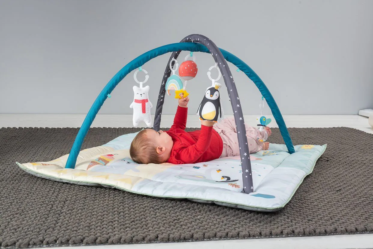 Активна гимнастика, Taf Toys, Северен полюс, 96 х 96 cm - Image 3