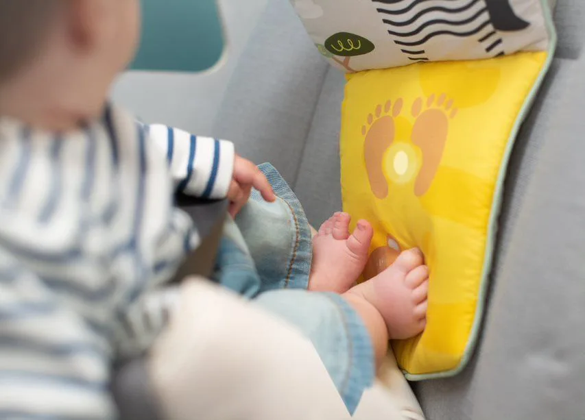 Бебешка играчка за кола, Taf Toys, Савана, 50 x 7 x 25 - Image 3