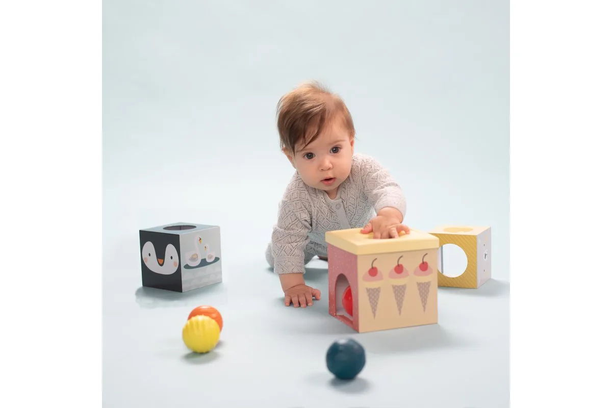 Образователна игра, Taf Toys, Сортер за подреждане, Северен полюс - Image 7