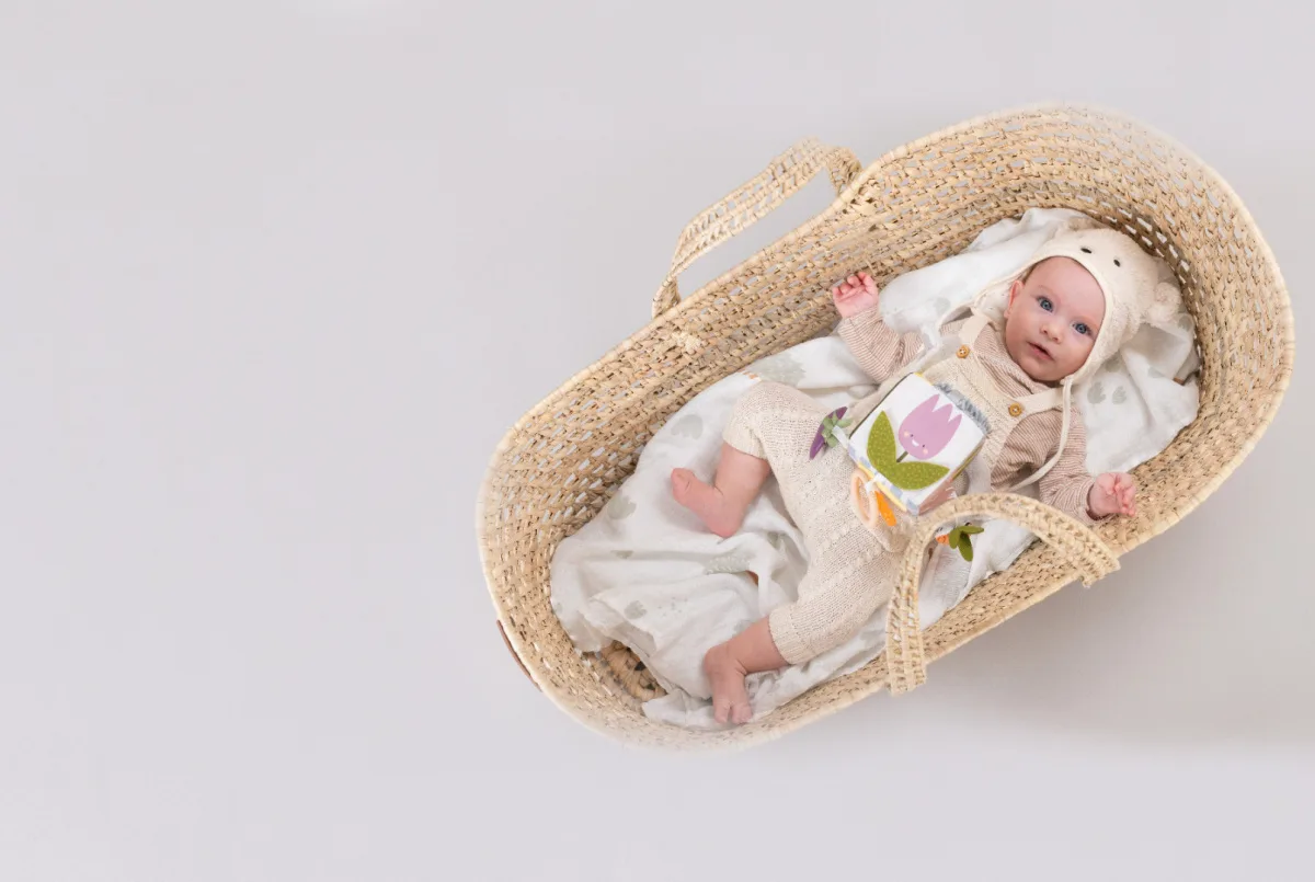 Интерактивна играчка, Taf Toys, Мек куб с активности, 33 х 33 см - Image 9