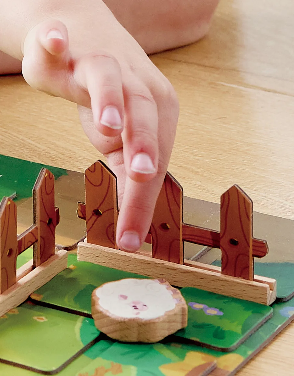 Настолна игра, Hape, Вълчи войни, Българско издание - Image 2