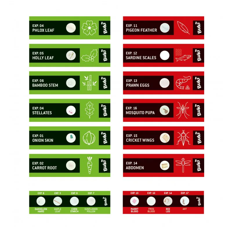 Комплект предметни стъкла с проби за микроскоп, Buki France, 20 броя - Image 2