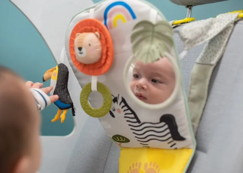 Бебешка играчка за кола, Taf Toys, Савана, 50 x 7 x 25 - Image 2