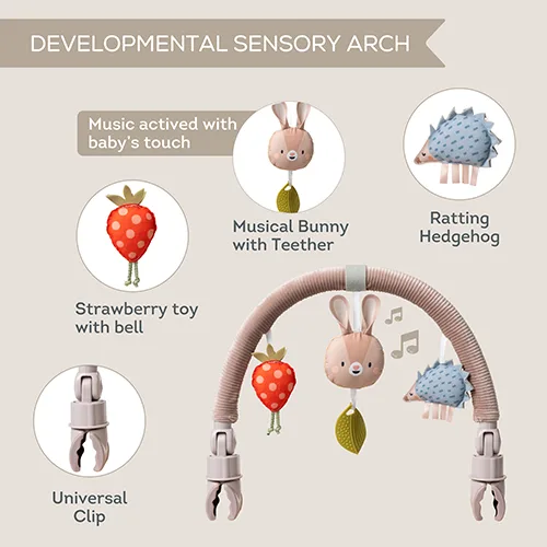 Музикална арка с активности, Taf Toys, Зайче - Image 2