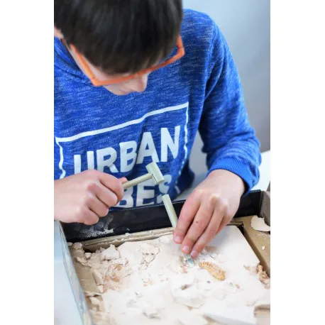 Игрален комплект, Buki France, Тиранозавър Рекс и Велоцираптор - Image 5