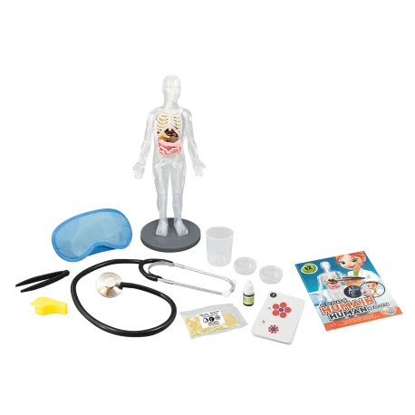 Човешкото тяло - Image 2