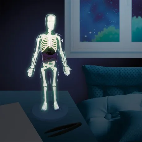 Човешкото тяло - Image 4