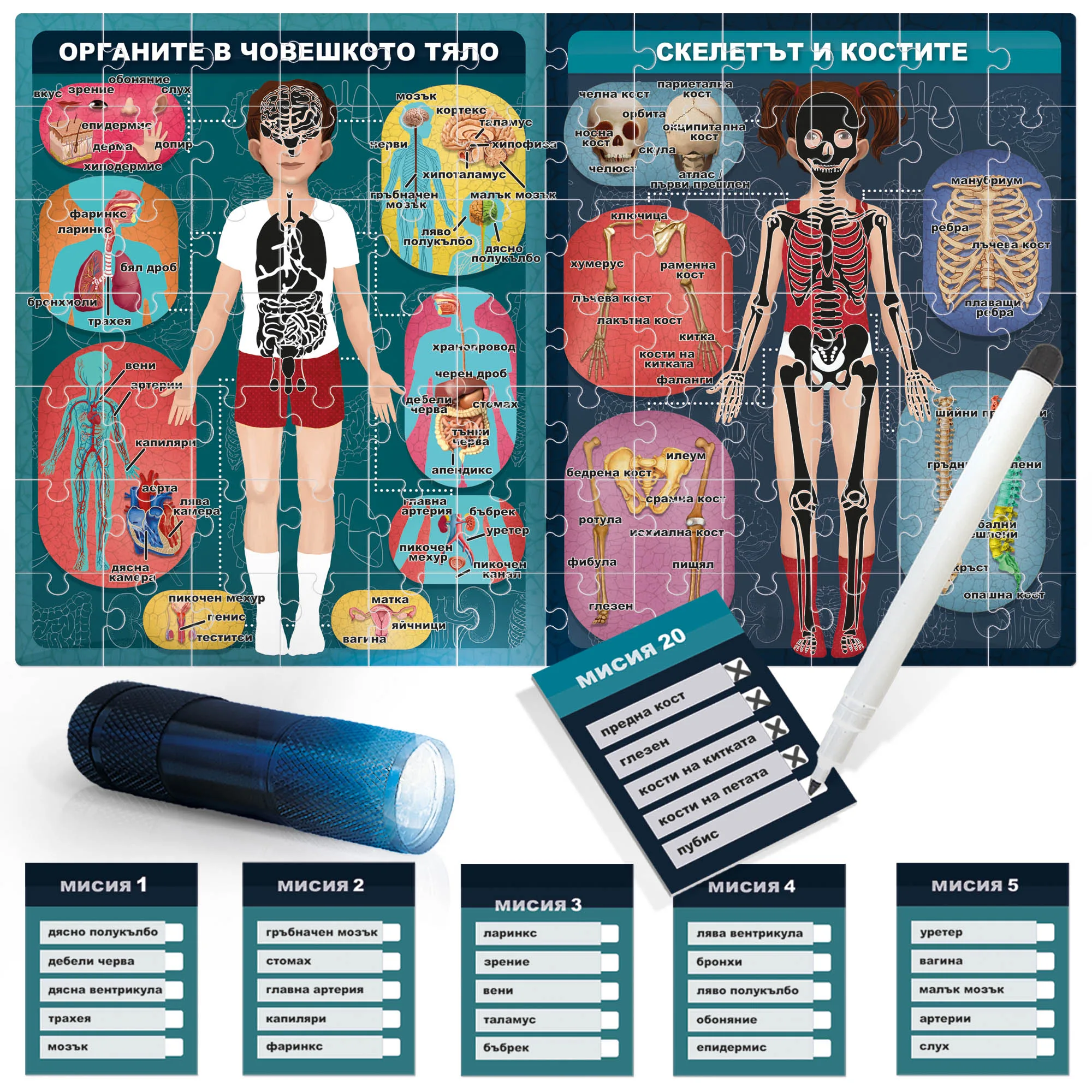 Образователен пъзел, Headu, Човешкото тяло, На български език, 84 части - Image 2